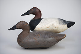 Pair of canvasbacks by Paul Gibson of Havre de Grace, MD.