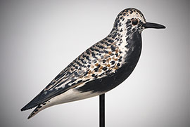 Black-bellied plover by Elmer Crowell with outstanding original paint and near mint condition.