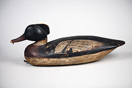 Hollow red-breasted merganser by Bill Hammel of Absecon, New Jersey with a delicately carved crest, carved eyes, fanciful paint and a wonderful surface patina.