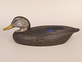 Black duck by Ken Anger of Dunnville, Ontario