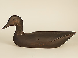 Black duck with a high, slightly turned head by Gus Wilson of South Portland, Maine. Near mint with an excellent dry surface patina. 