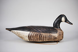 Canada goose by Miles Hancock of Chincoteague, Virginia. 