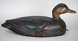 Hollow black duck by Charles Hart of Glouchester, Massachusetts, ca. 1920, with terrific carving detail and in excellent original paint.