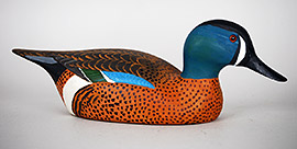 Blue-winged teal by J. Corbin Reed of Chincoteague, Virginia. 