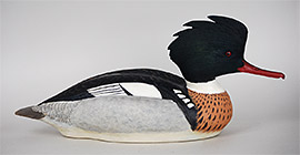 Red-breasted merganser by J. Corbin Reed of 
Chincoteague, Virginia