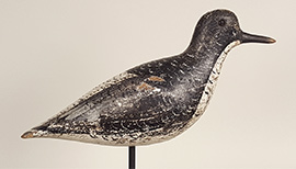 Black-bellied plover by John Dilley of Quogue, Long Island, New York, ca. 1890, with a replaced bill. Lots of shot hits on one side, but it's in original paint. 