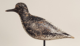 Black-bellied plover by John Dilley of Quogue, Long Island, New York, ca. 1890, with a replaced bill. Lots of shot hits on one side, but it's in original paint.