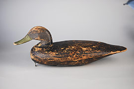 Black duck by Doug Jester of Chincoteague, VA.