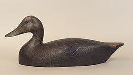 Black duck by Ernie Fox of Brockville, Ontari