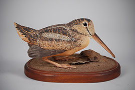 Full-sized woodcock by Robert and Virginia Warfield of Jaffrey, New Hampshire, dated 1979, with minor tail chip
