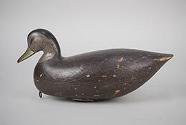 Hollow black duck by Charles Jester of Chincoteague, Virginia. 