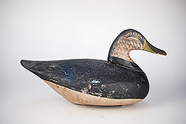 Rare black duck by John Glenn of Rock Hall, MD. 