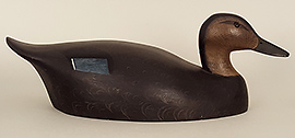 Black duck by Ken Harris