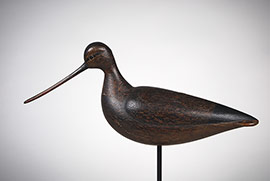 Large godwit by Mark McNair of Craddockville, Virginia.