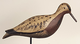 Dowitcher or plover from New Jersey's "Lumberyard" rig, ca. 1900.