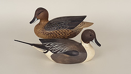 Ward brothers miniature pintails pair