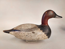 Premier grade Chesapeake Bay model canvasback with partial bill replacement by the Mason Decoy Company.