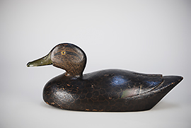 Stylish black duck with raised wing carving attributed to Willis Gray of Ganonogue, Ontario, Canada, ca. 1920