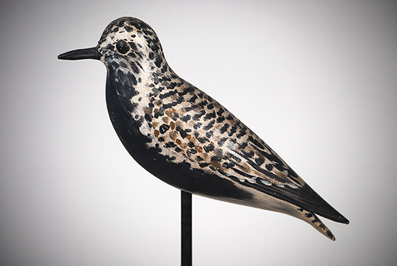 Black-bellied plover by Elmer Crowell with outstanding original paint and near mint condition.