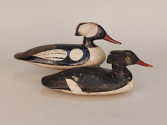 Pair of cedar-bodied hooded mergansers with rare solid crests by Doug Jester of Chincoteague, VA, ca. 1930s. Ex-collections of Don Snyder, Peter Muller and Marty Maloy.