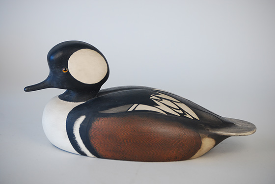 Rare hooded merganser by Ken Anger of Dunnville, Ontario