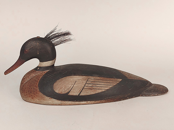 Red-breasted merganser by Mark McNair of Craddockville, Virginia.