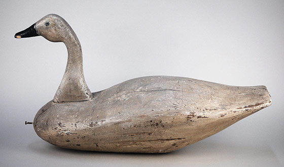 Swan decoy by Charlie Waterfield of Knotts Island, North Carolina. An iconic Southern decoy