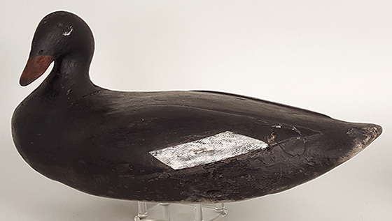 Scoter with a 90 degrees turned head by Gus Wilson of South Portland, Maine, ca. 1920 in old gunning paint. Terrific form!